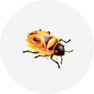 BrowserStack Integration with Firebug Lite