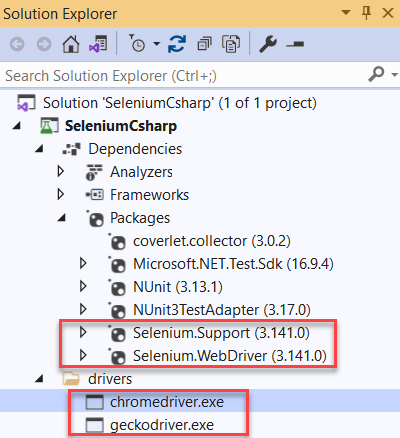 Project Configuration in Visual Studio