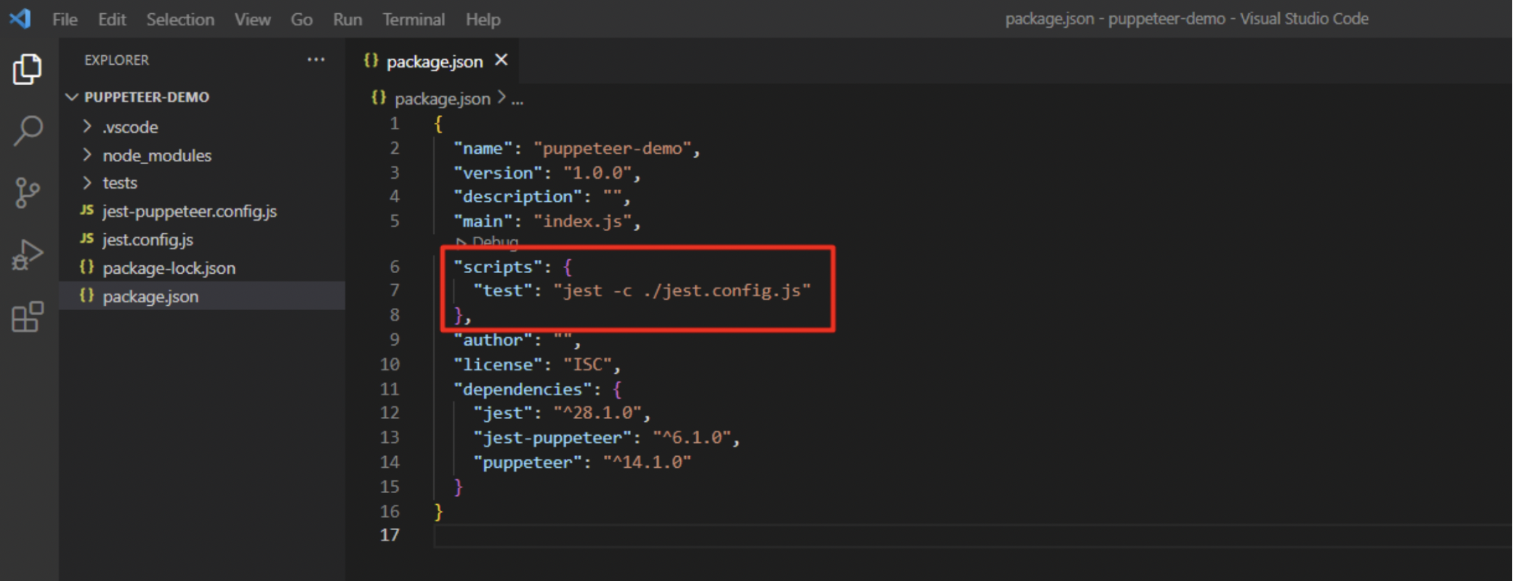 Configure package.json to run the test