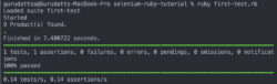 Run Results of Selenium Ruby Tests