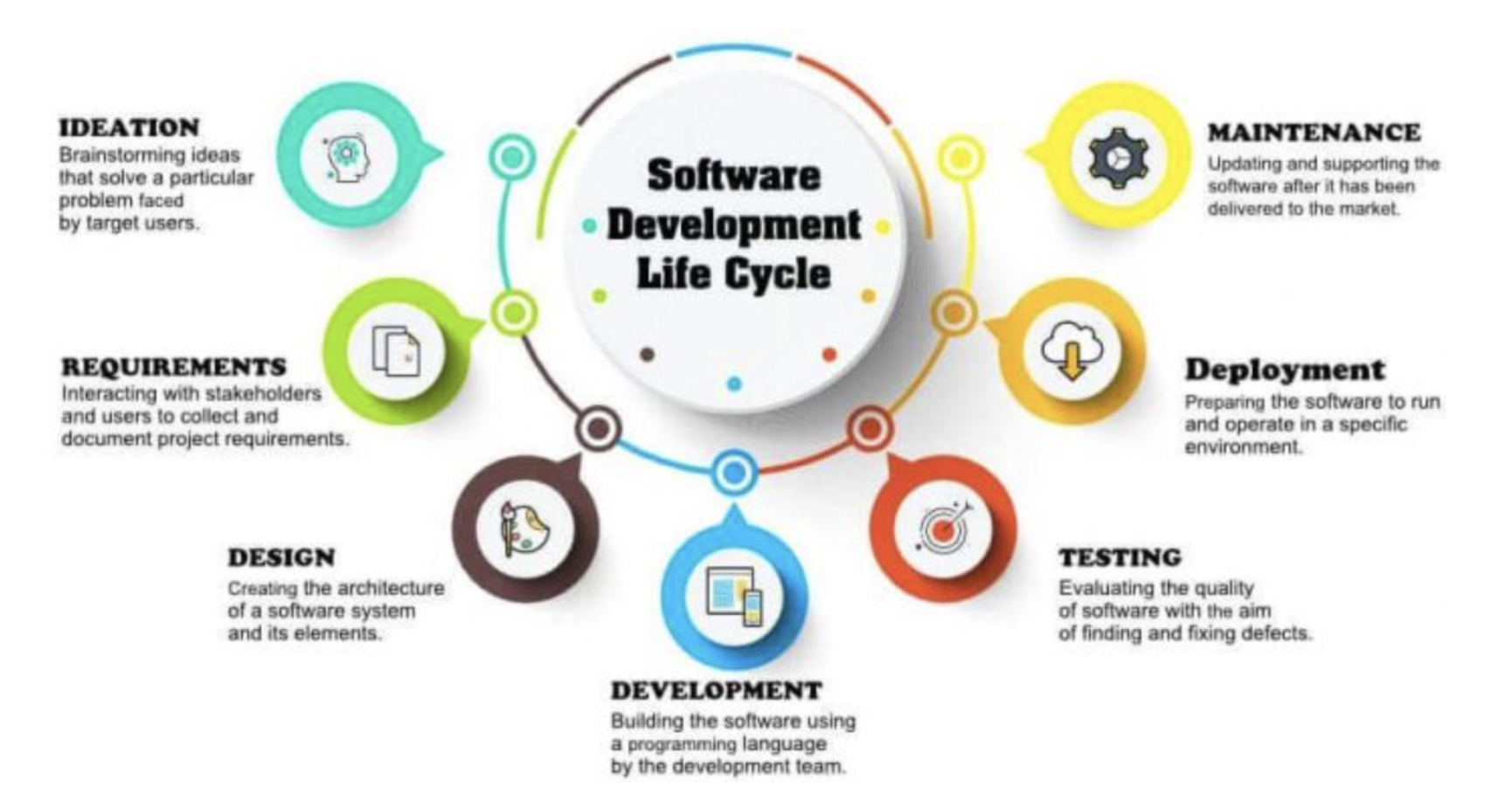 Software Development Cycle