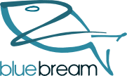 BlueBream Python Web Development Framework