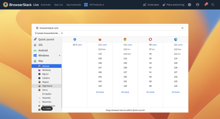 Manual Testing Tutorial For Beginners | BrowserStack