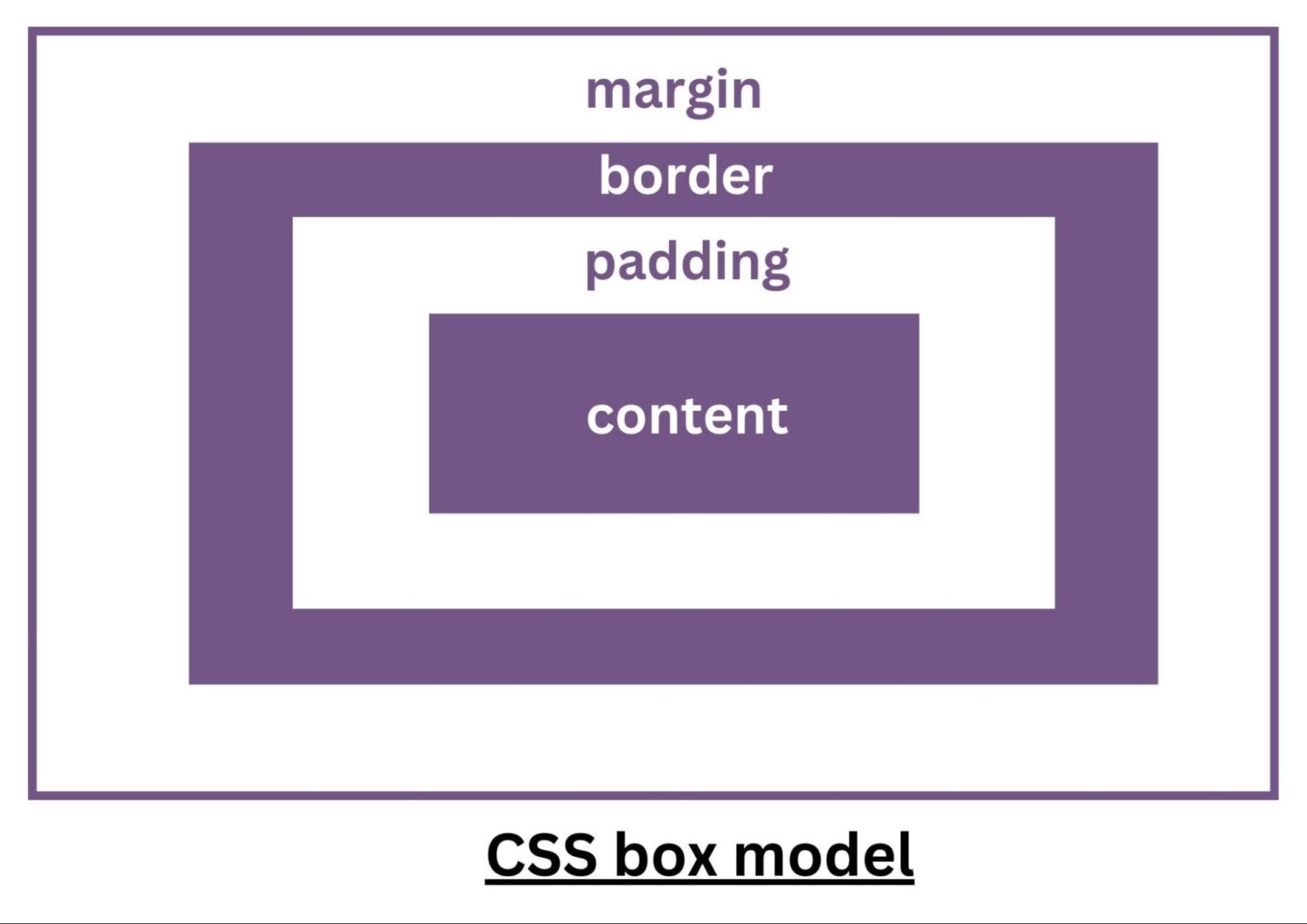 how-to-create-a-website-using-html-and-css-browserstack