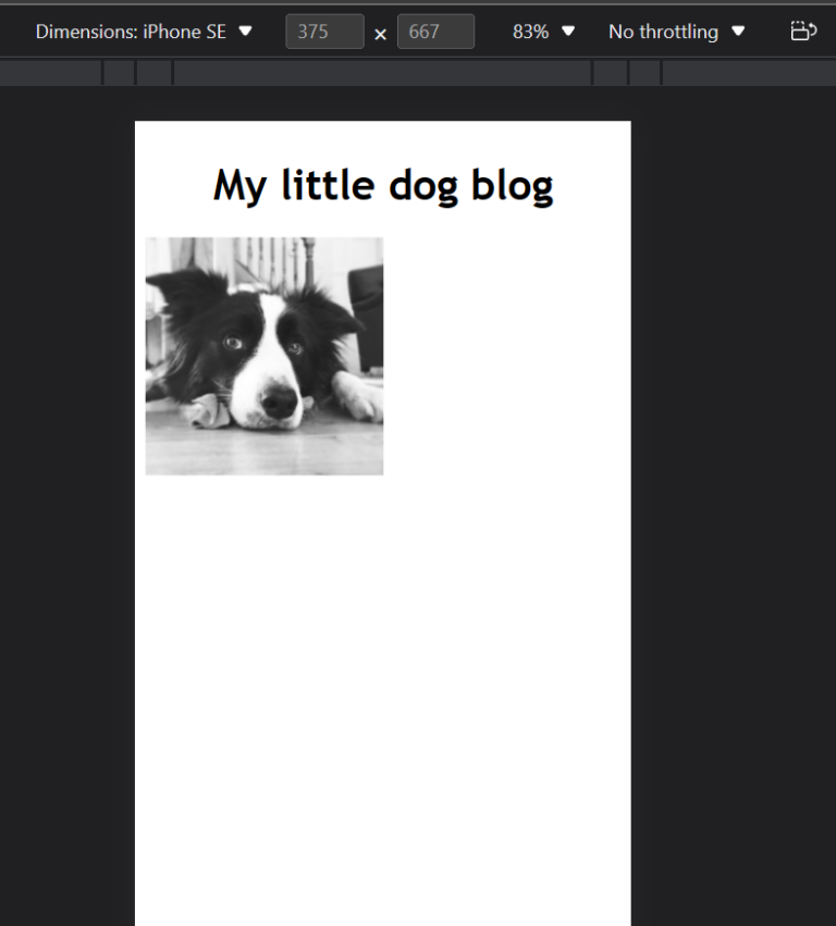 How To Resize An Image Using CSS BrowserStack how-to-resize-an-image-using-css-browserstack