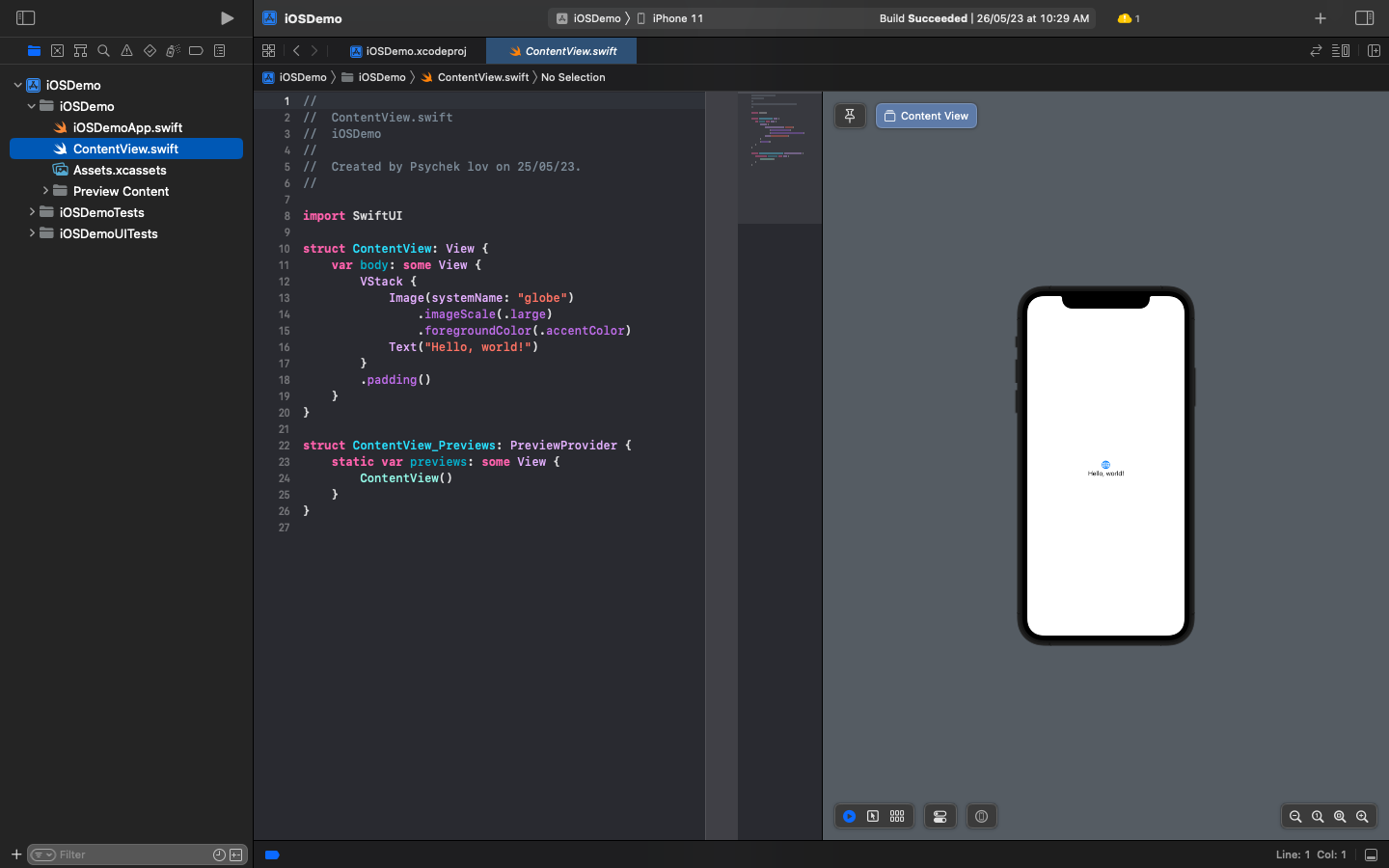 Creating XCode Preview