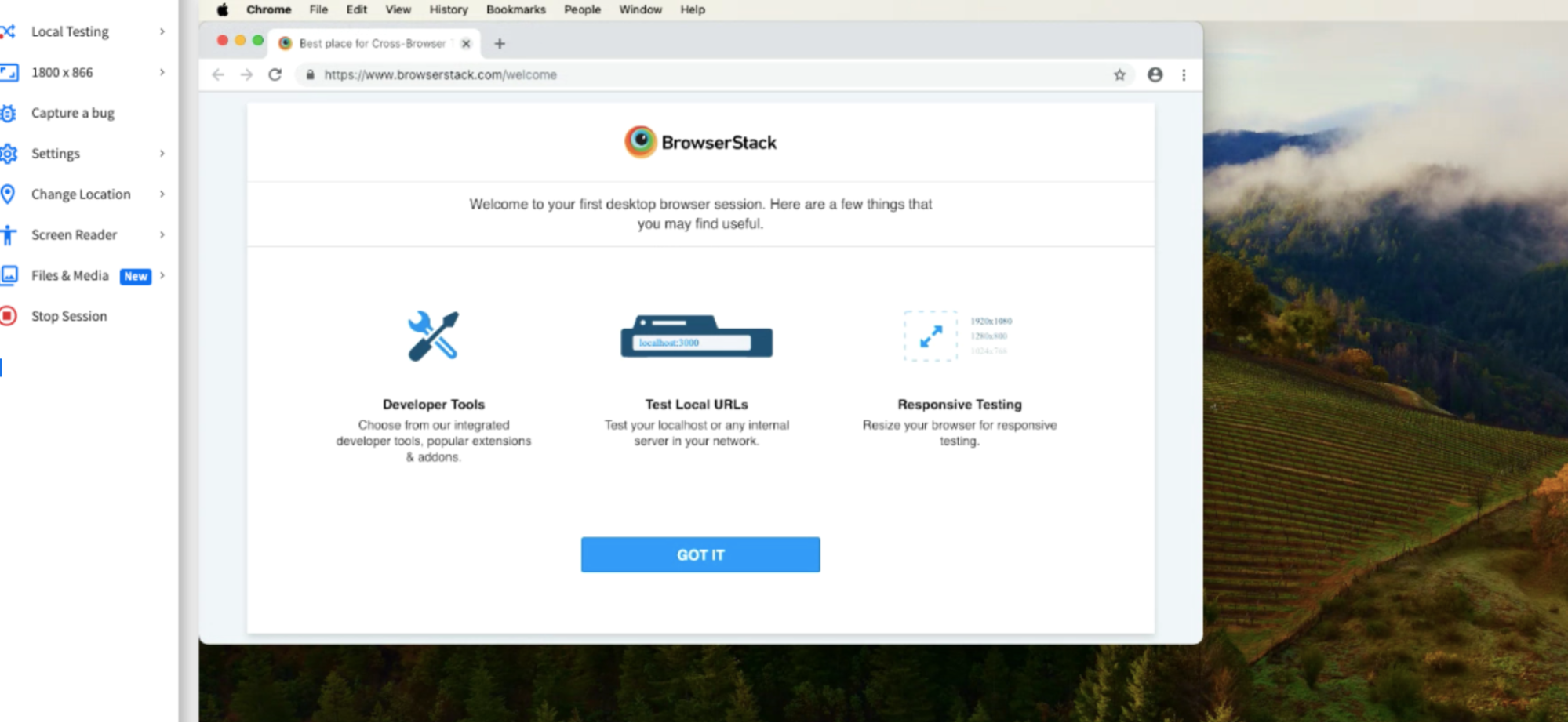 Enter URL to test in Browserstack Live