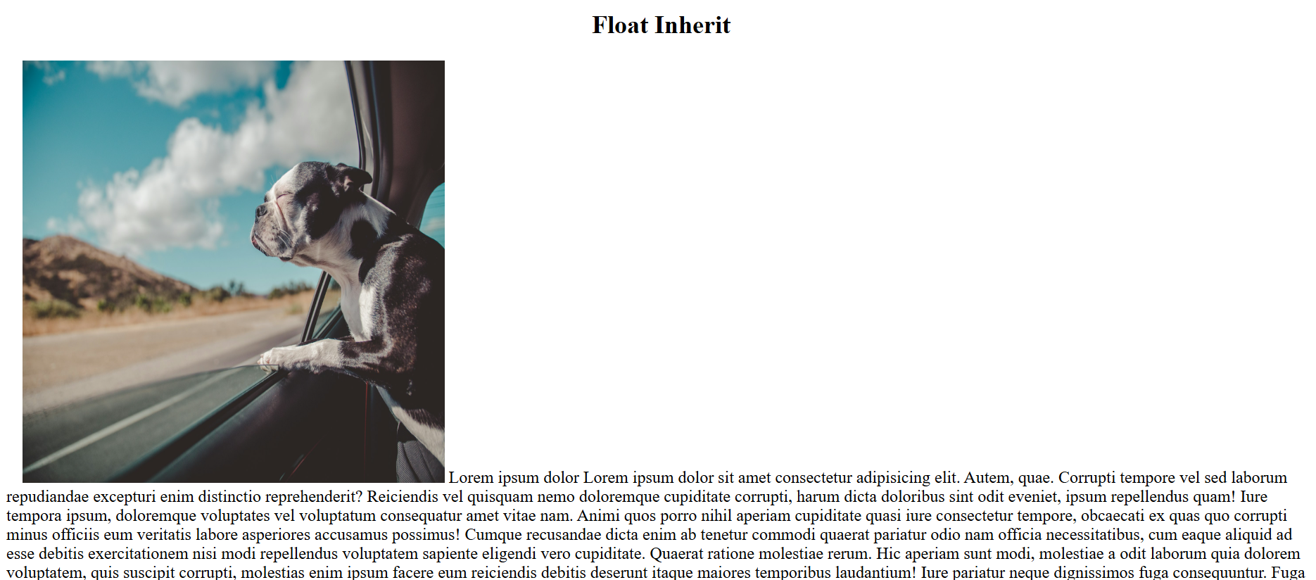 float inherit