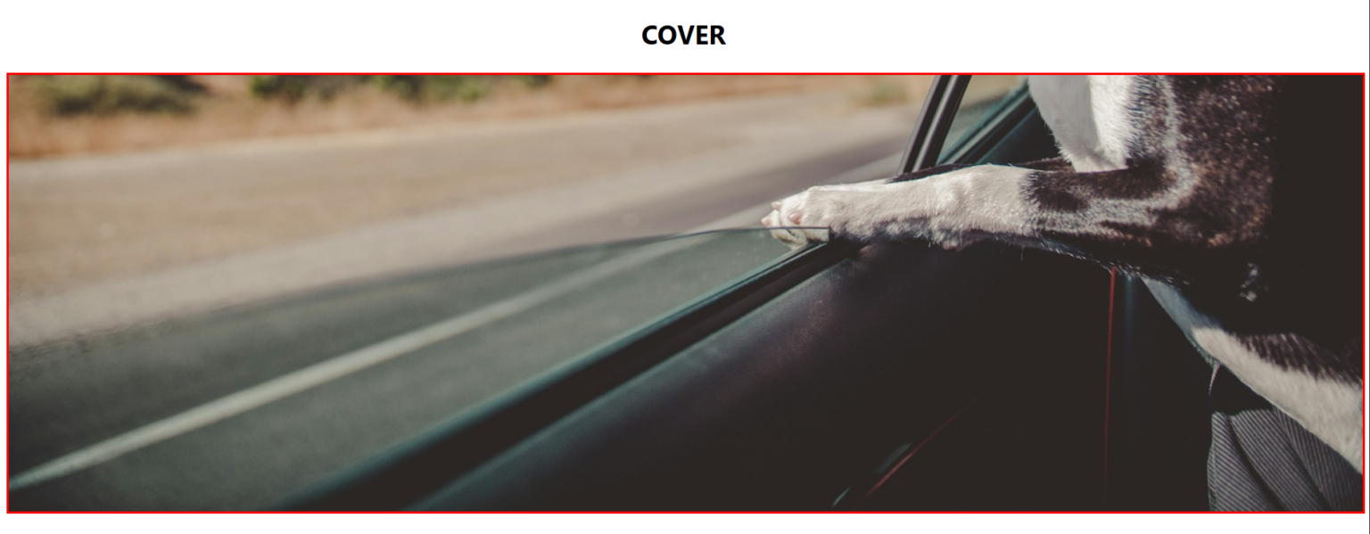 How to change Position of Image in HTML | BrowserStack