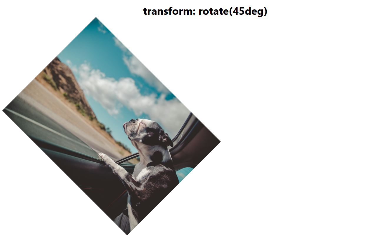 transform rotate