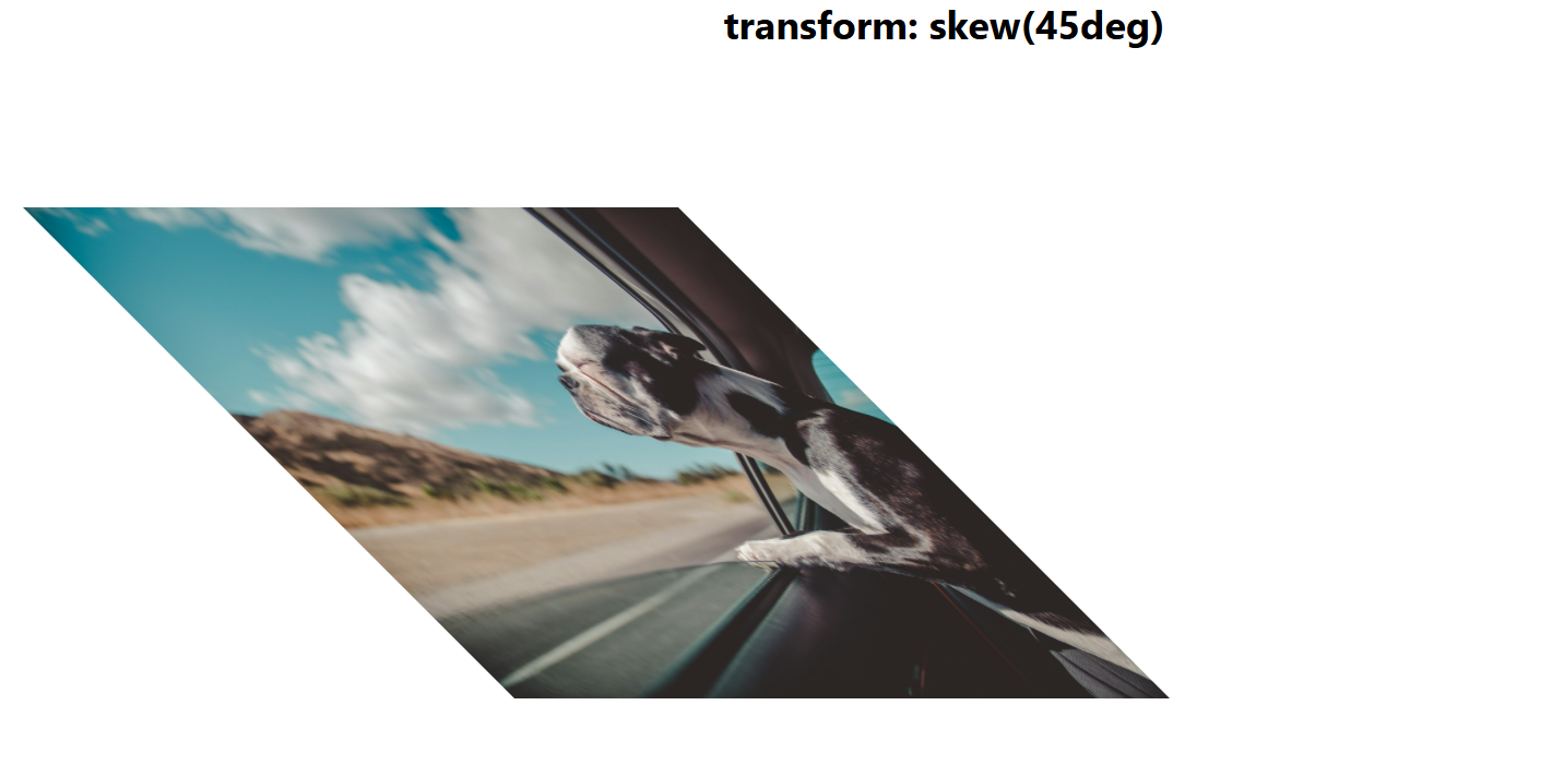 transform skew