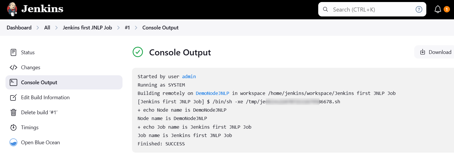 DemoNodeJNLP Console output