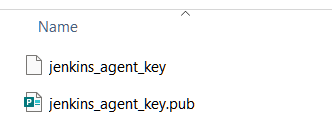 Jenkins Agent Private Public Keys