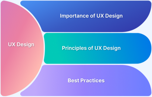 What is User Experience (UX) Design and Why is it Important