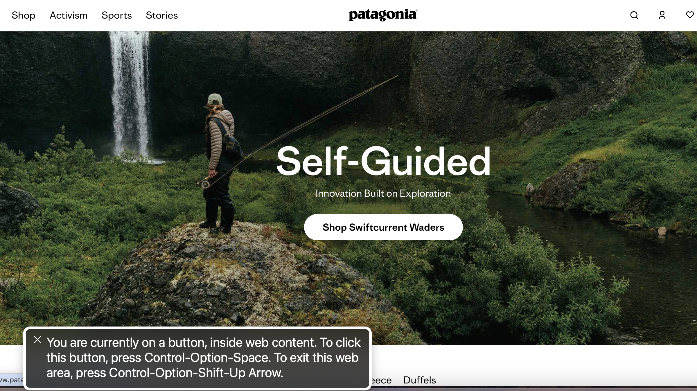 Accessibility Website Example Pantagonia