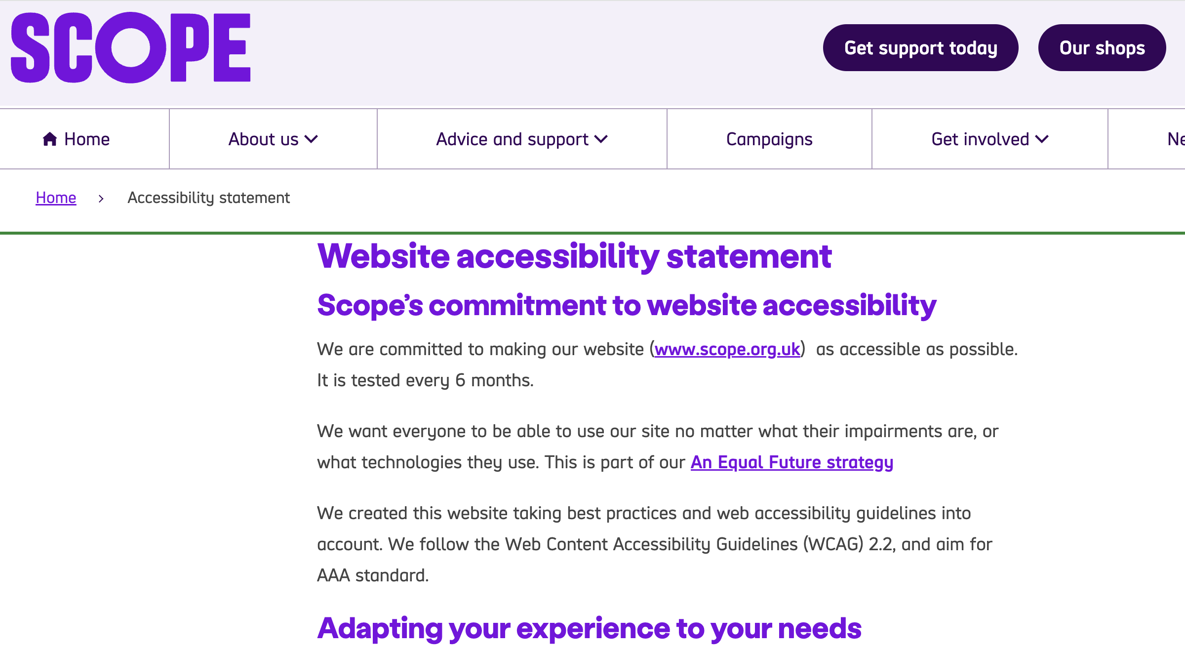 Accessibility Website Example Scope UK