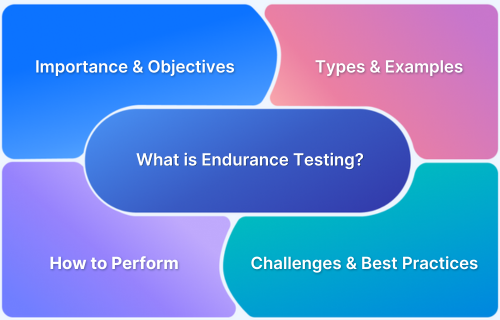What is Endurance Testing
