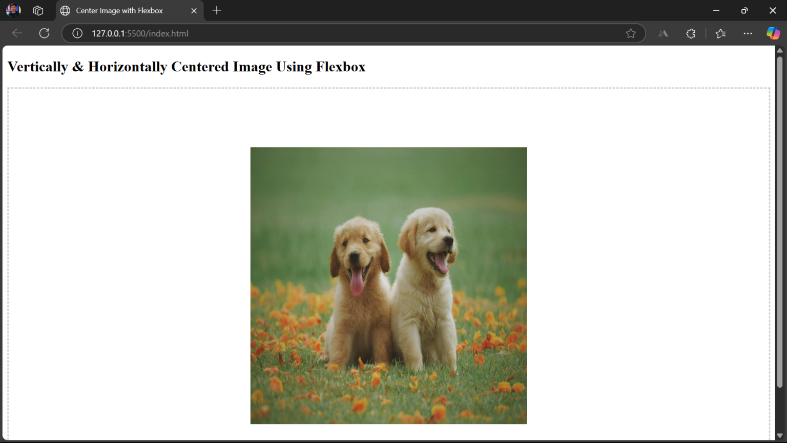 How to Align an Image in Centre in HTML and CSS | BrowserStack