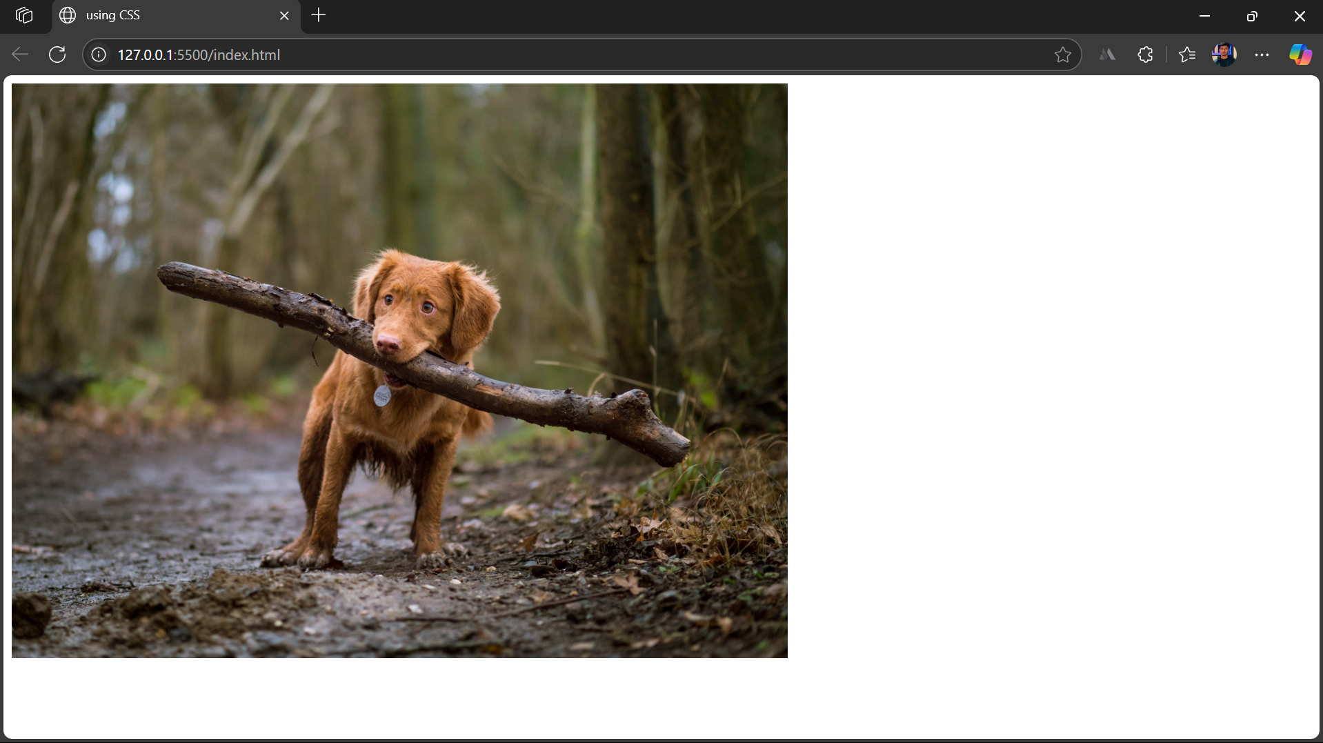 Inline CSS 