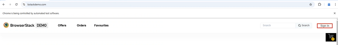 JavaScript Executor Output 