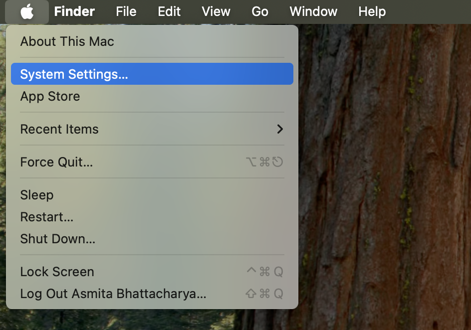 Open Apple Menu and System Settings