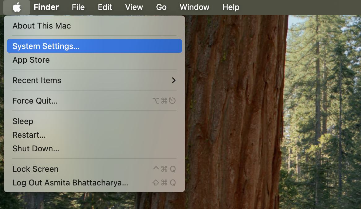 Select system settings from the menu