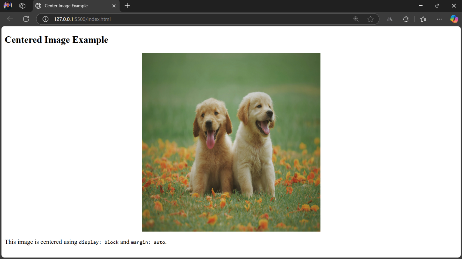 How to Align an Image in Centre in HTML and CSS | BrowserStack