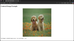 How to Align an Image in Centre in HTML and CSS | BrowserStack