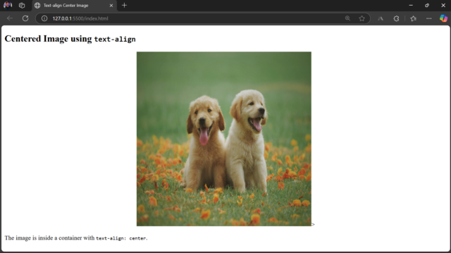 How to Align an Image in Centre in HTML and CSS | BrowserStack