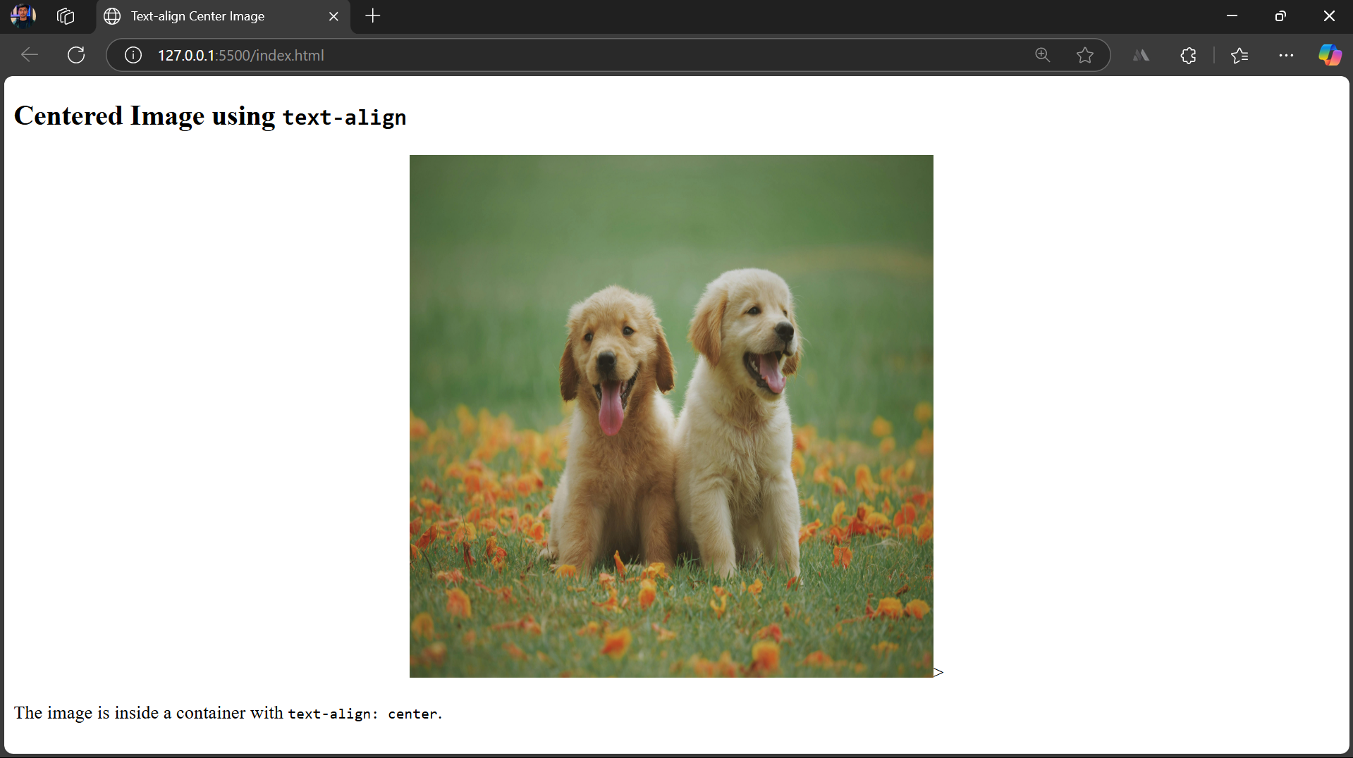 text align
