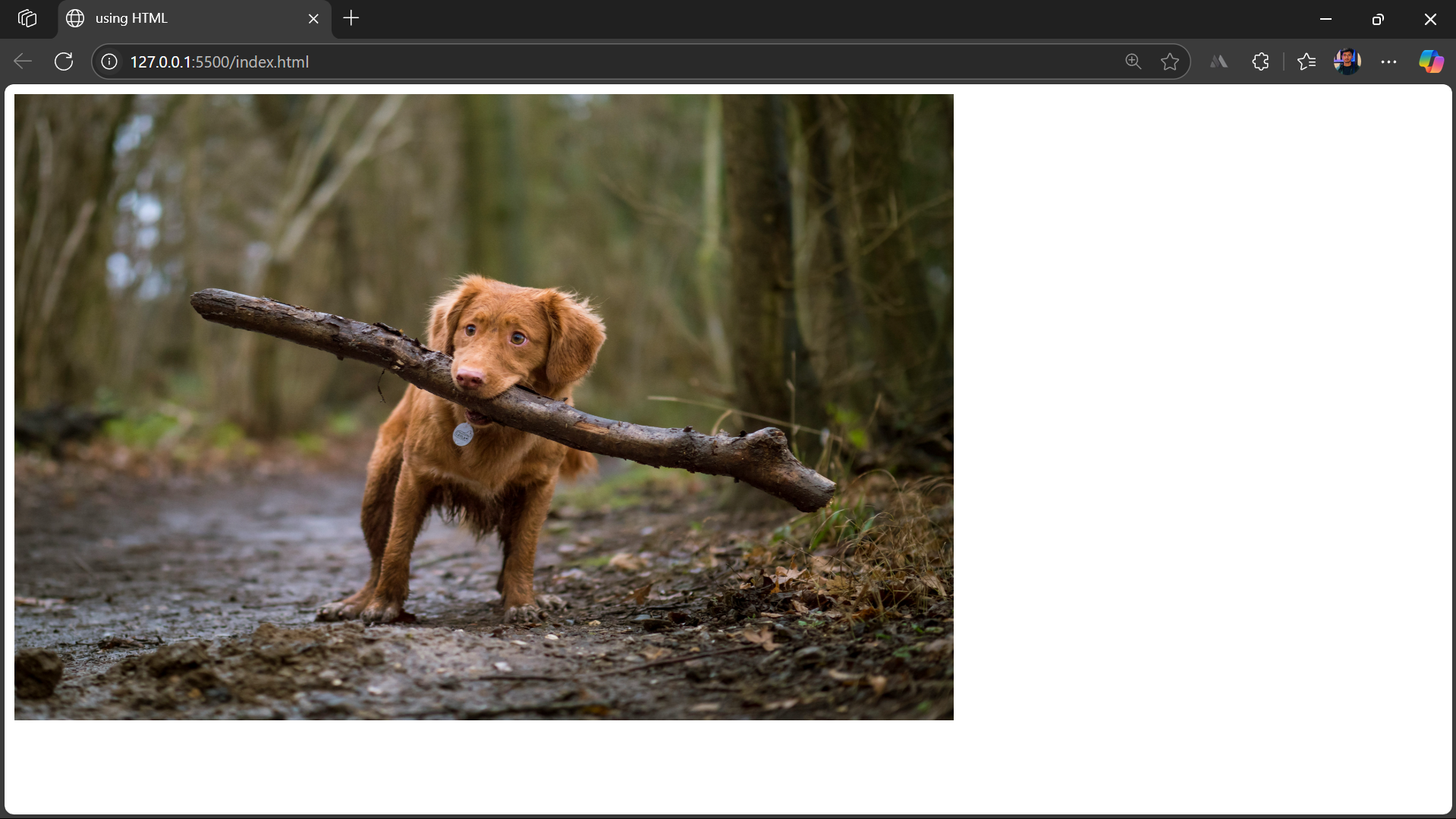 using HTML