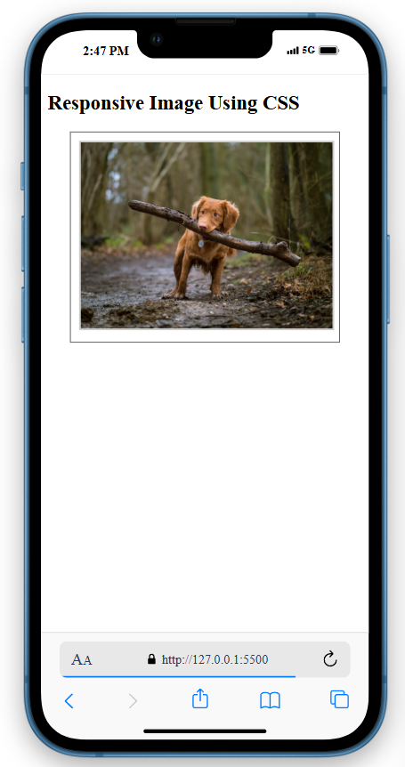 using max width
