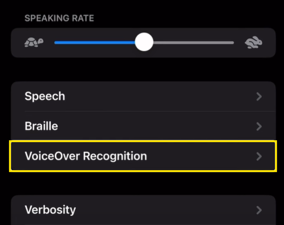 03 VoiceOver Recognition