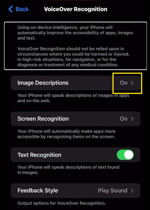 04 Image Descriptions