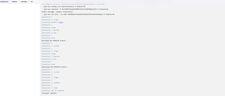Execution report for develop branch