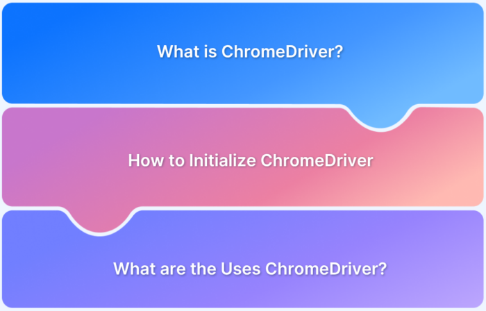 What is ChromeDriver