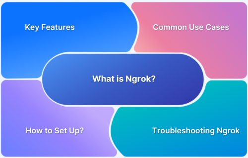 What is Ngrok and How Does It Work