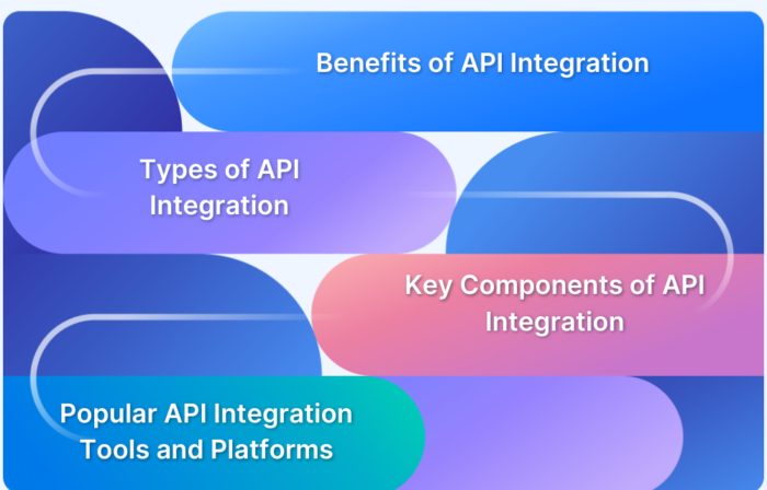 What is API Integration_ A Complete Guide