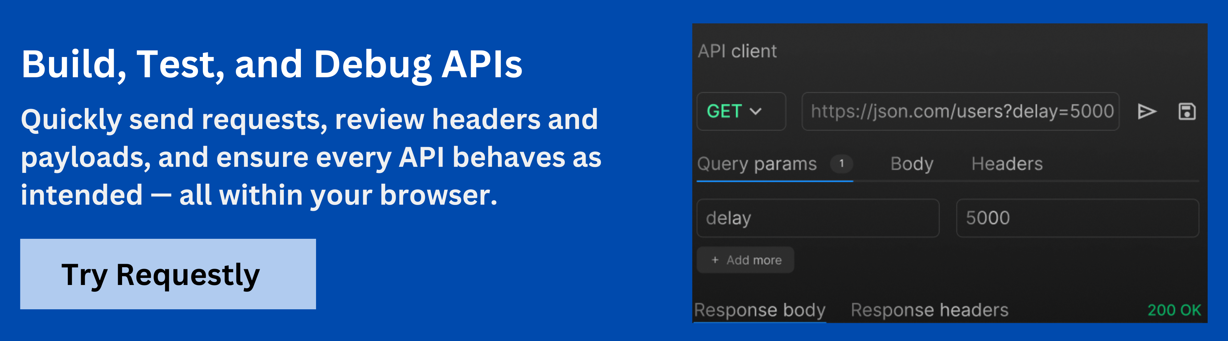 API Client Requestly
